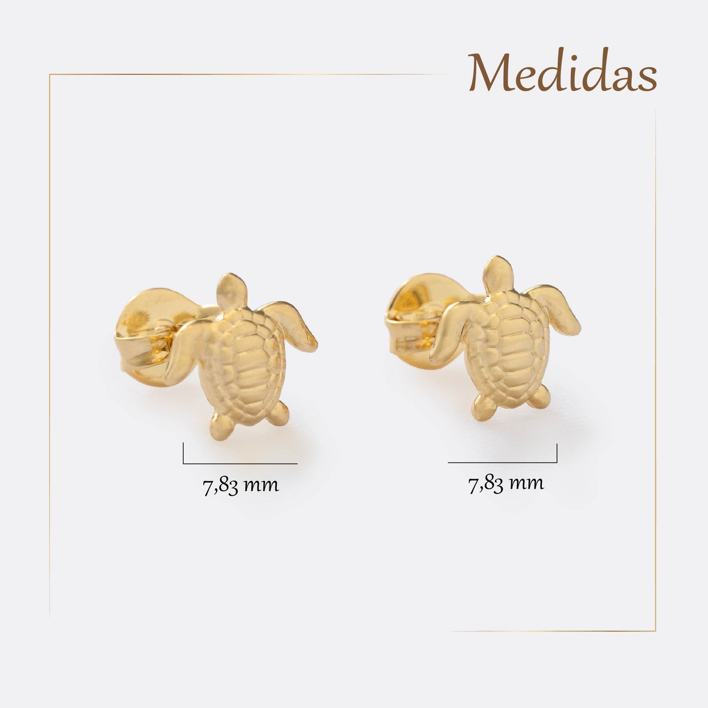 Arete Turtle