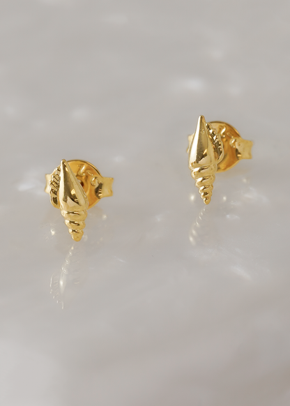 Arete Shell